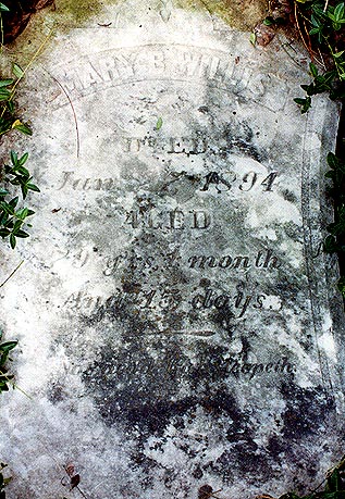 Picture of tombstone of Mary B. Willis