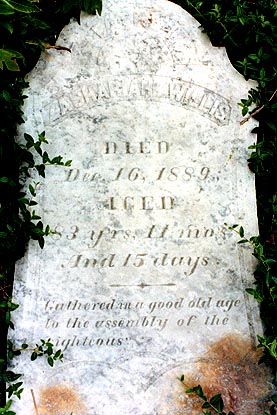 Picture of tombstone of Zachariah Willis