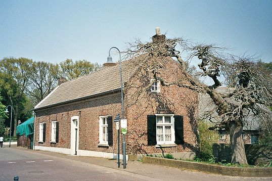 Picture of a house with an interesting tree in  Lottum, Limburg, Netherlands