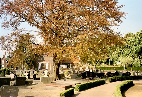 Picture taken in the Church graveyard of Lottum, Limburg, Netherlands