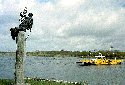 Picture of Statue of Christoffel showing ferry in the background, Broekhuizen, Limburg, Netherlands